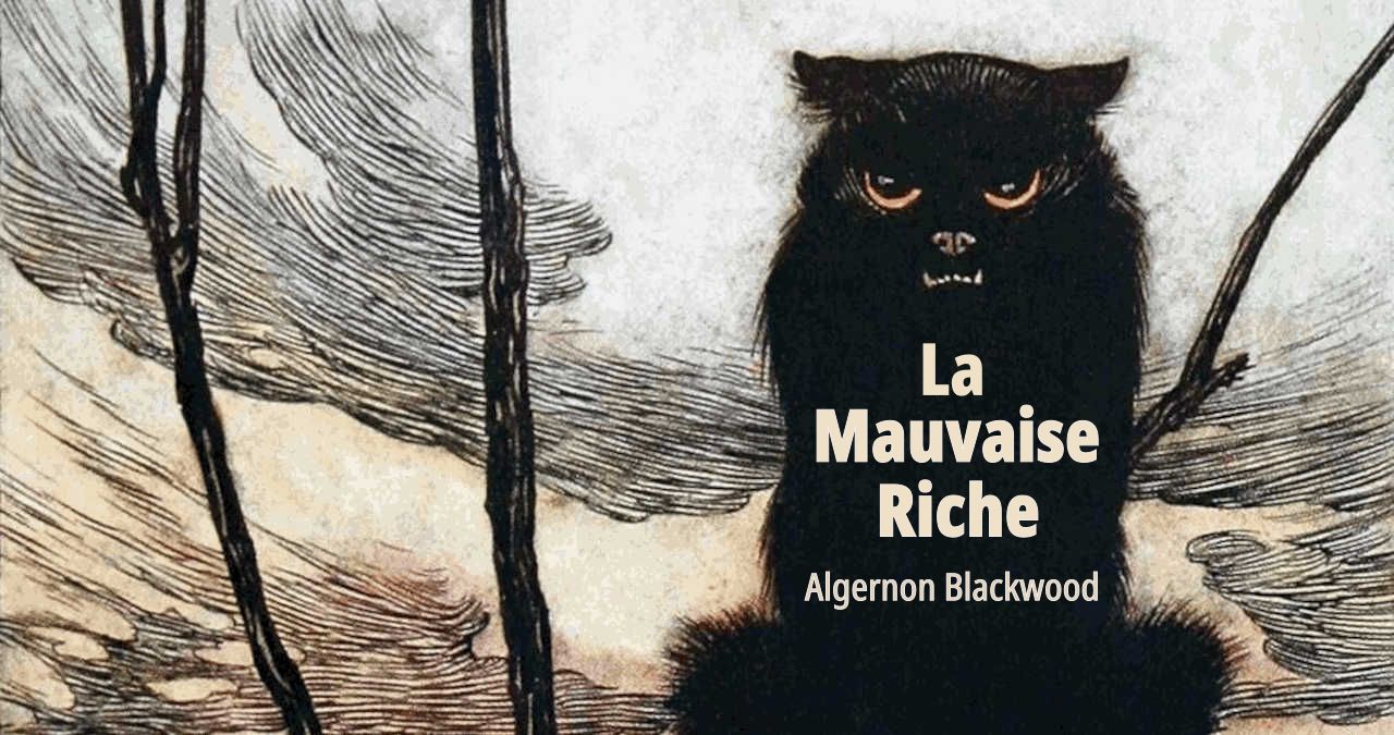 A black cat, scowling.
